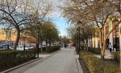 сквер кошек труханович