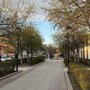 сквер кошек труханович