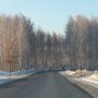дорога загородная зимой