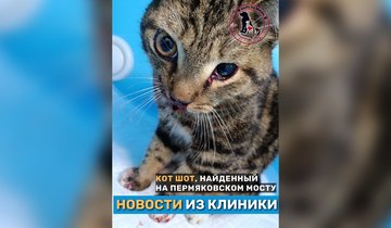 fRGpSPxXRtY9MM6h8LttLiw2JpsspOS64eIdAXvpzDhyB4kxLiVH81c5iXcpA-bUz7vBwcmV8y2YexqY3MKVYW8t