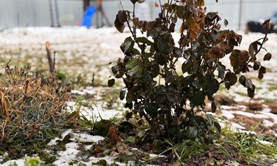 ilXzVFfor1eK4HwiWI8nmlKLgG8bqFNi4UNRu8BHft8LscHrCYT6RrQjrgNuUYk75I5VOChmgQgYbUQGj7SQlwgQ