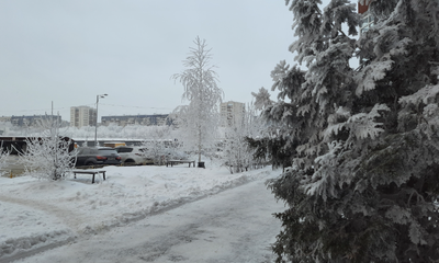 зима пасмурно