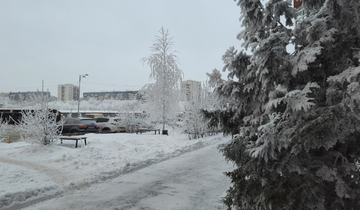 зима пасмурно