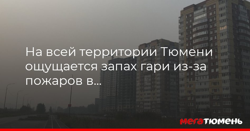 тушение пожара в лесу. вы смотрите телевизор ощущается запах гари , гудение ваши действия. чувствуется гарь. чувствуется гарь. почувствовав запах дыма определите что и где горит.