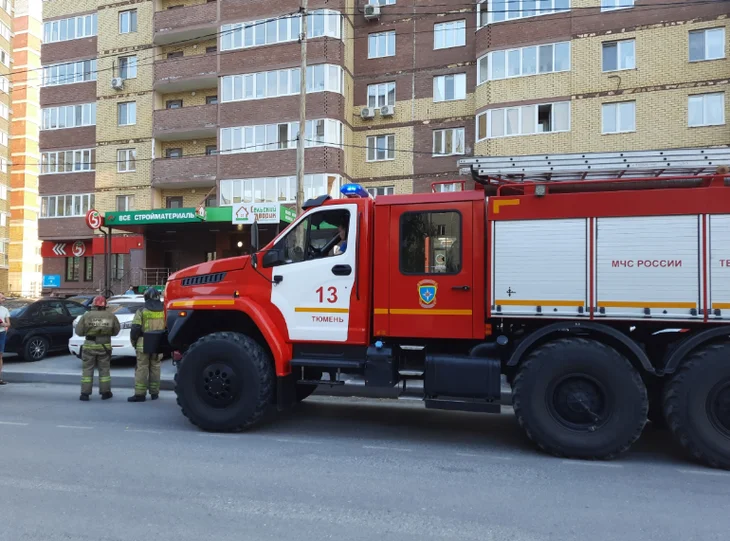 Схема пожаров в тюменской области