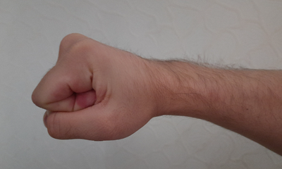 кулак волосатый