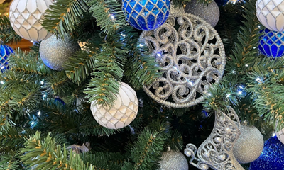 елка косенчук