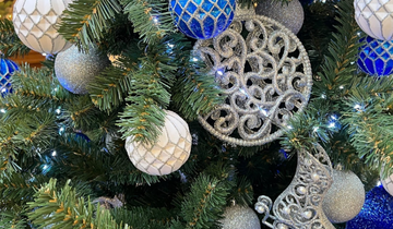 елка косенчук