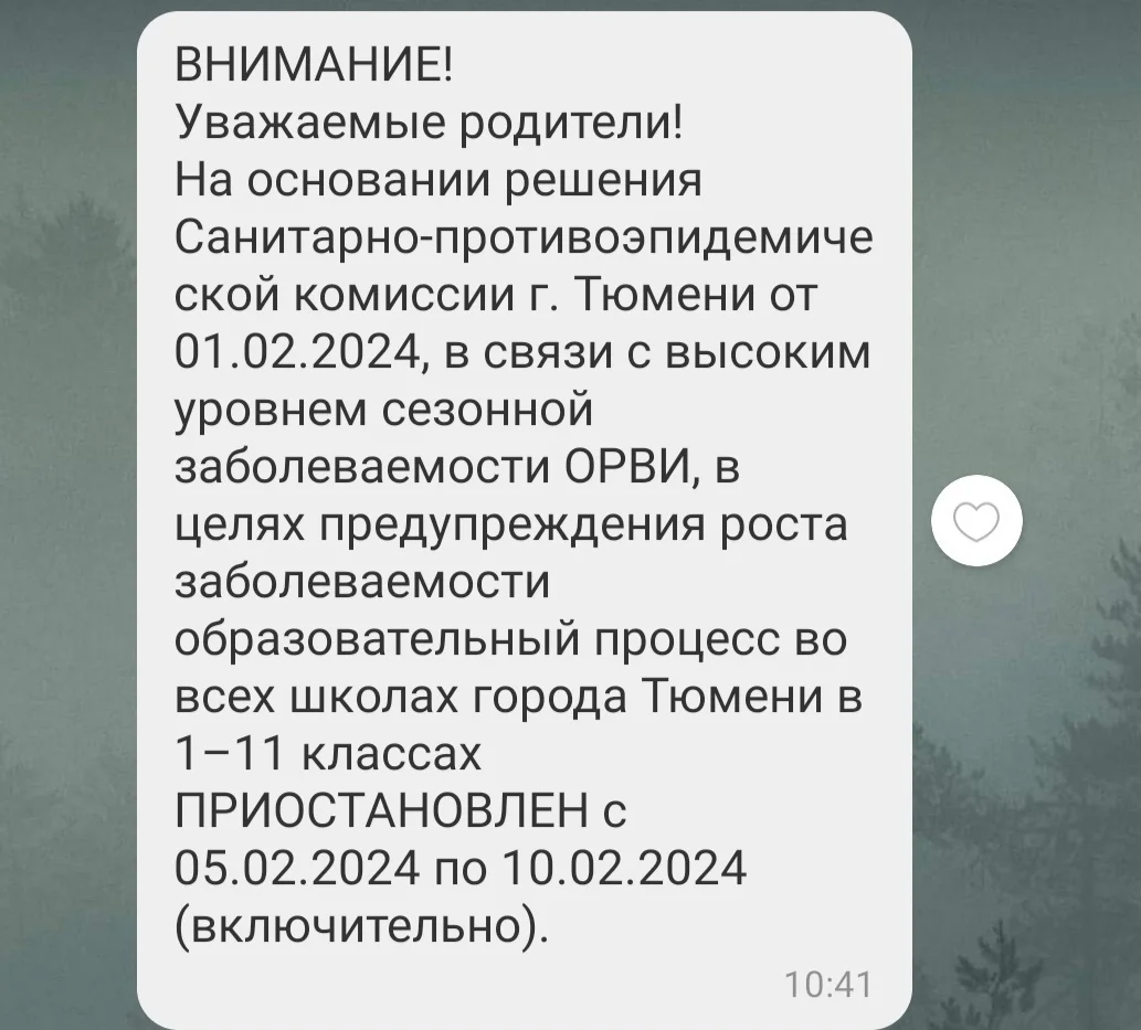 В Тюменской области с 5 февраля школьники уйдут на карантин МегаТюмень