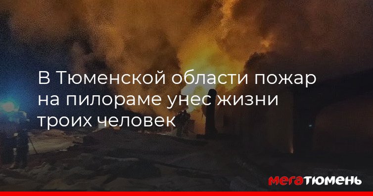 смерть одного человека трагедия смерть миллионов статистика ремарк. великий трагедия человека. жизнь трагедия для тех кто живет чувствами и комедия. пожар в торговом центре «зимняя вишня» пожары в россии. трагедия жизни заключается не в том что она быстро заканчивается.