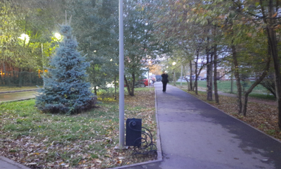 изображение_2025-09-28_193017848