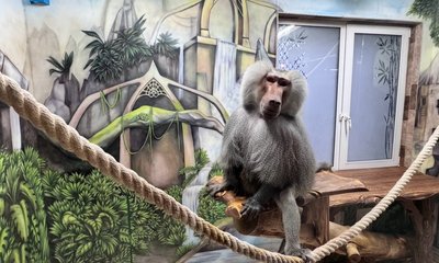 jJ4ePy4eamgyuw85Rdu9ZdTl8NBzNgTf6cNcgxPxbb6s7YmYhY79YmJDatSyrxvvAGimaYWkOoQbvr0L4I7MgMig