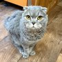 jiuXpJ7khWxOpGdAN48LXZ3kE9glIPZ4bkMkdSR4suyVLaODsn1UBHr_Sh4b8hKZgKFAtY9kHLiKNJ991neU9PcH