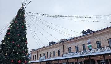 контора пароходства_зима_елка