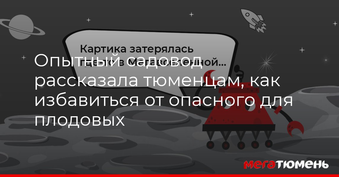 Как избавиться от щитовки? Способы и методы борьбы с вредителем МегаТюмень