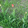 photo-output