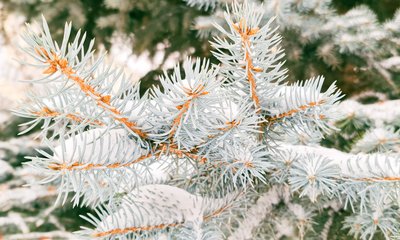 photo_2024-11-07_10-48-21