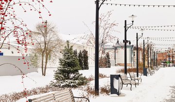 photo_2024-11-07_10-48-28