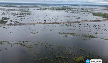 photo_2025-05-28_14-19-11