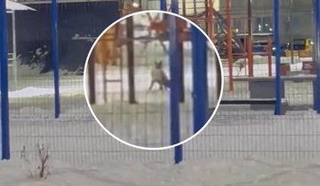 photo_2025-11-06_19-33-10