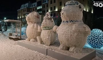 photo_2025-11-13_11-50-51