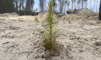 photo_2025-11-19_14-01-37