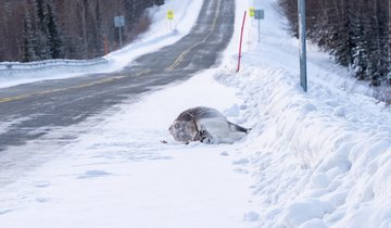 photo_2025-12-11_09-28-38