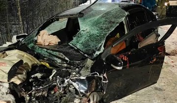 photo_2025-12-12_09-13-03