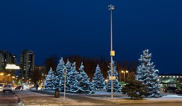 Елка хлызова