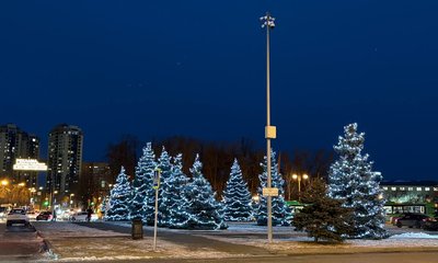 Елка хлызова