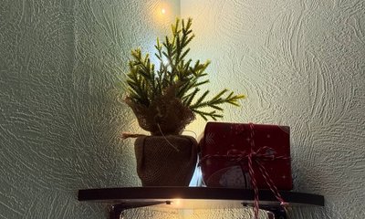 photo_2025-12-14_16-17-07