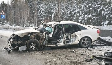 photo_2026-01-28_15-25-21