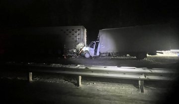 photo_2026-02-03_08-30-19