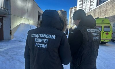 photo_2026-02-12_15-08-28