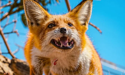 photo_5449742444523545899_y.format-webp.width-650