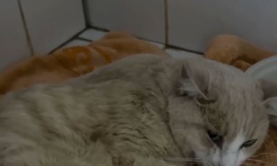 qS3BhtktDOUNBYtHasoR76mGW-Ihlk7yy5iyuAuoSHn_Mfnv2DJwsX_rFOrPwj8QOicGXrXpAWr46JiB10FlXXuj