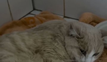 qS3BhtktDOUNBYtHasoR76mGW-Ihlk7yy5iyuAuoSHn_Mfnv2DJwsX_rFOrPwj8QOicGXrXpAWr46JiB10FlXXuj