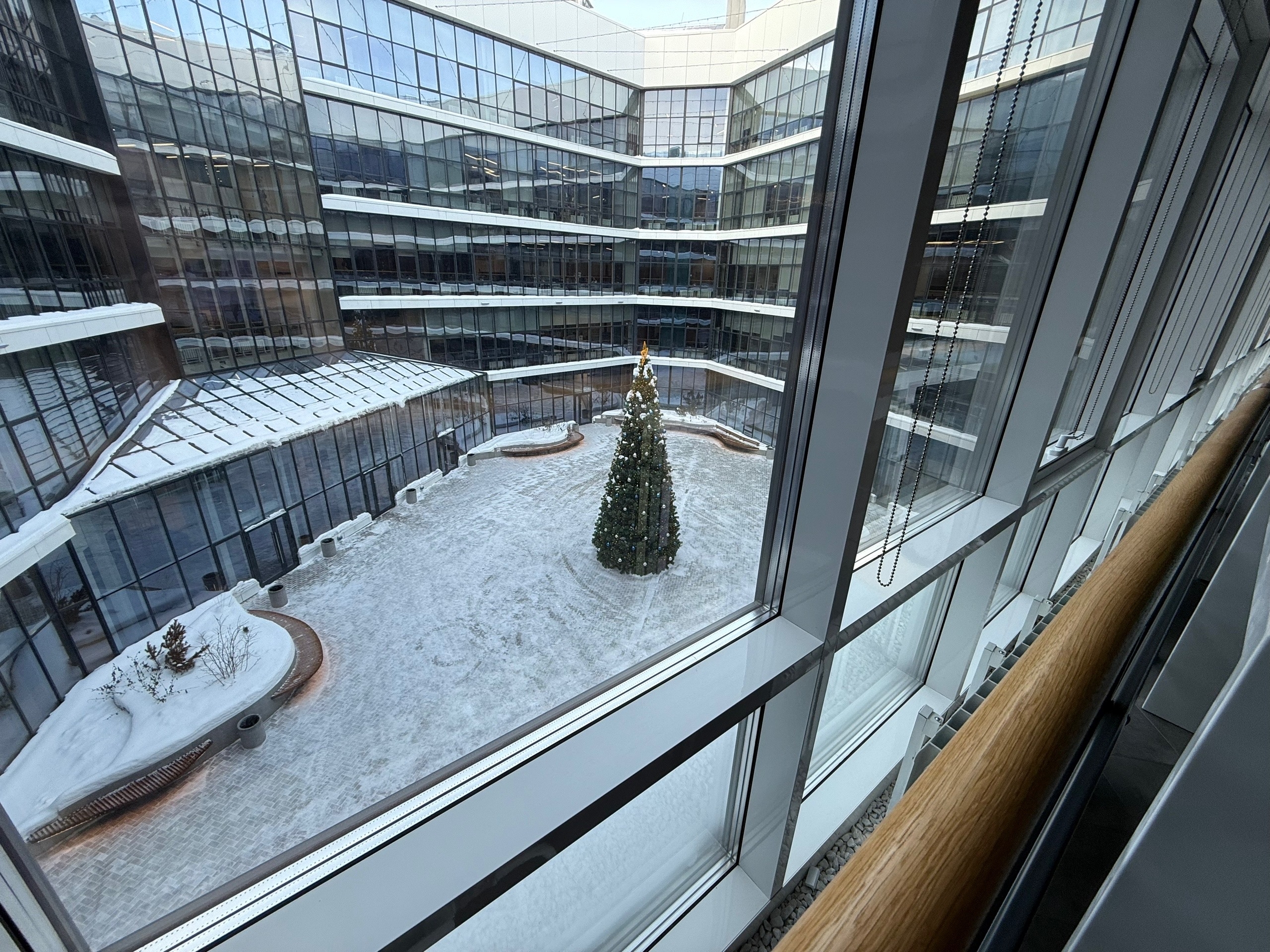 Тюменские ВУЗы в 2026 начислят дополнительные 10 баллов чемпионам