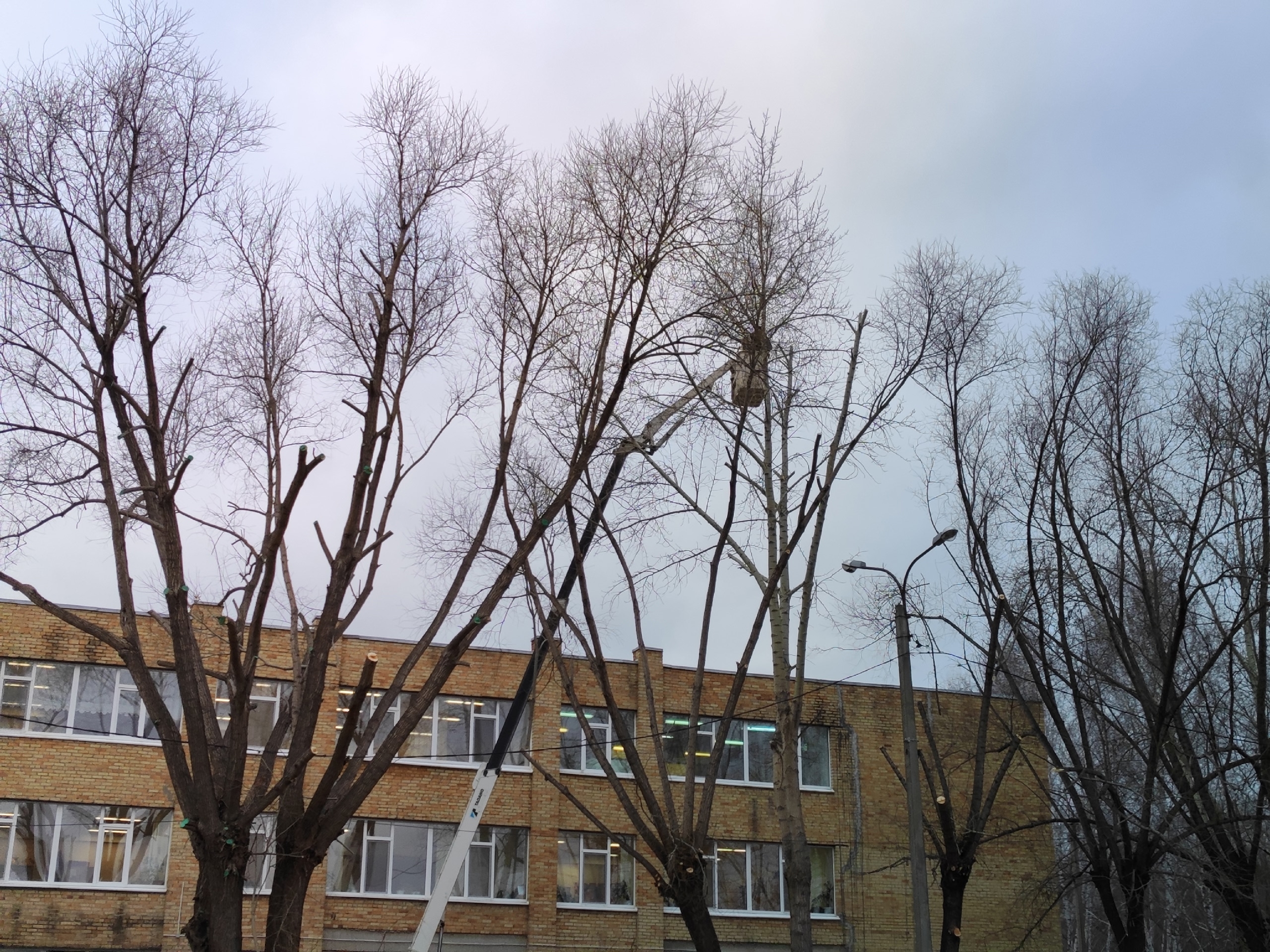 Актировка для школьников 1 смены в Тюмени: идти в школу 17 декабря 2025 или нет