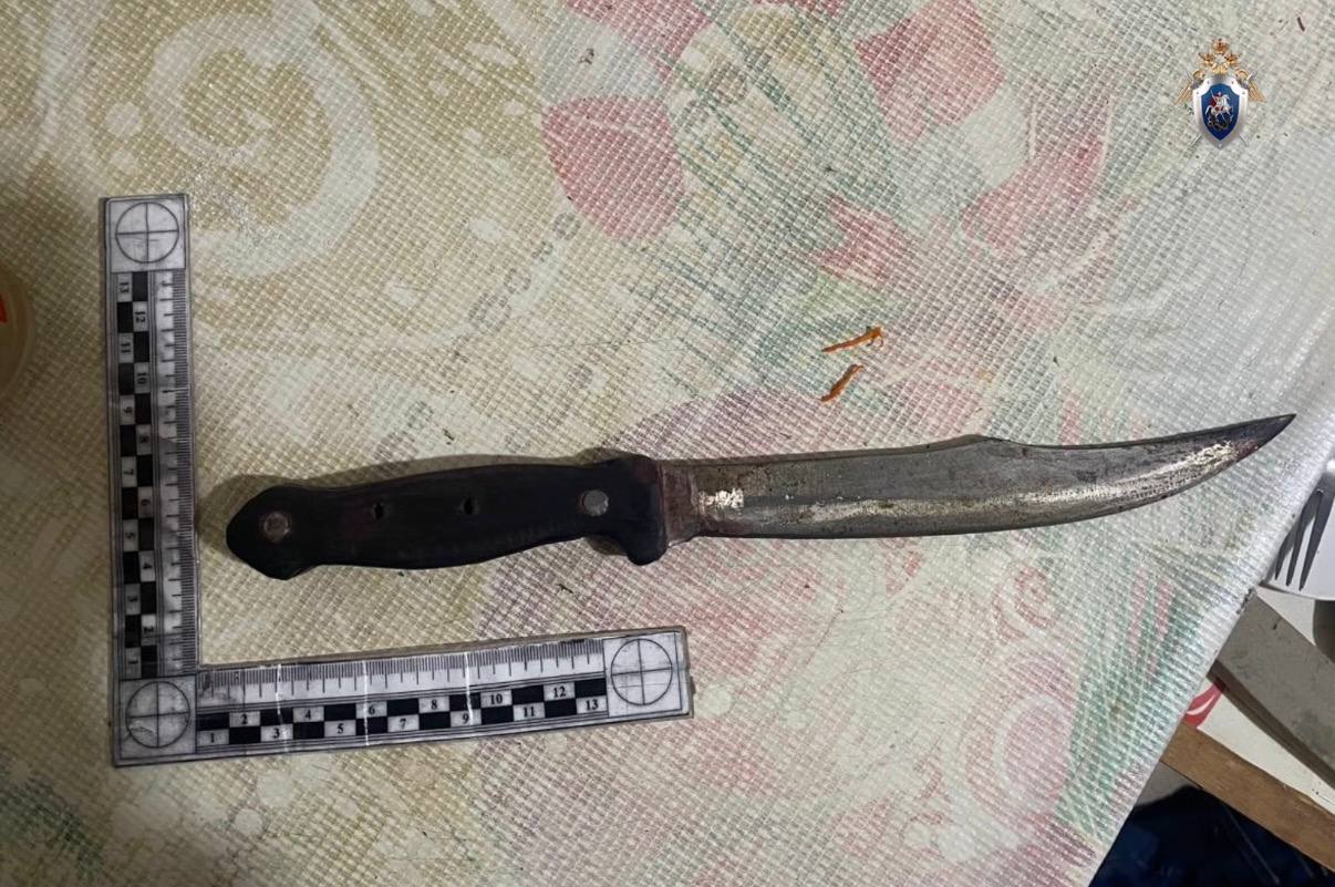 Мужчина зарезал сожительницу, вонзив нож в бедро