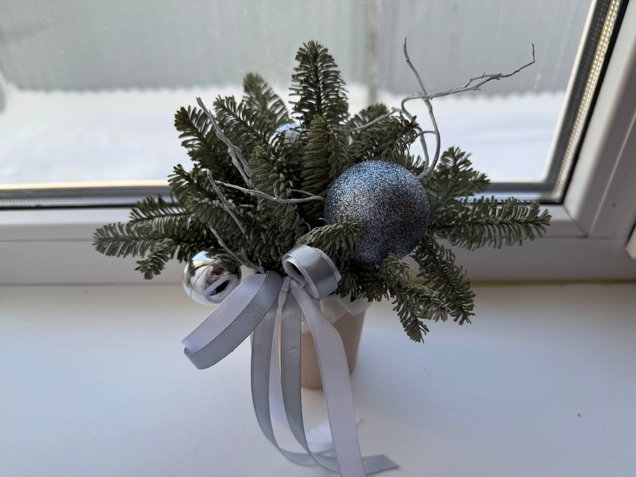 Тюменский садовод рассказывает, как сохранить живую новогоднюю ель до высаживания в саду